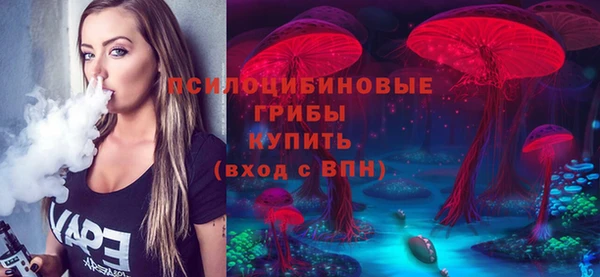 ГАЛЛЮЦИНОГЕННЫЕ ГРИБЫ Алексин